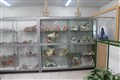 موزه آناتومی