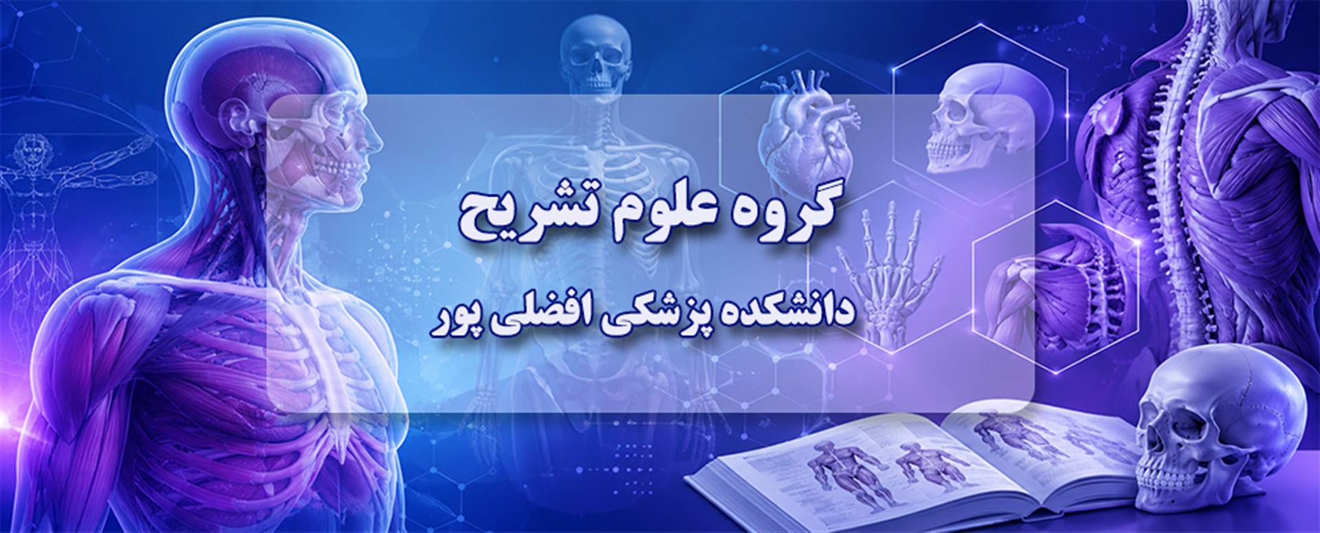 آناتومی5