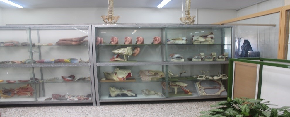 علوم تشریح1