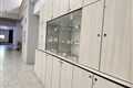 گروه ایمنی شناسی